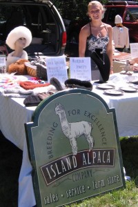 img_0124 Island Alpaca:1 Head of the Pond Road, Oak Bluffs, 508-693-5554 infor@islandalpaca.com. Barbara Ronchetti8 PO box 1515, Vineyard Haven, MA 02568