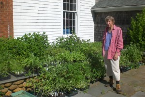 Nancy Cabot's Amazing Plants!
